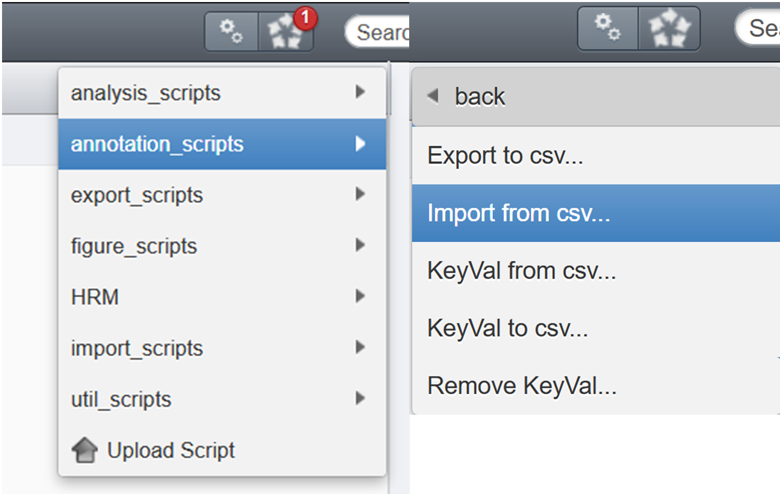 annotate_bulkkvps_scriptselection_import.png