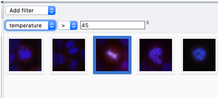 filter_thumbnail.png
