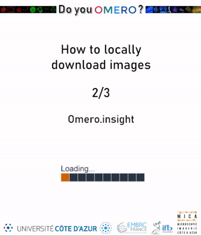 export_from_omeroinsight.gif