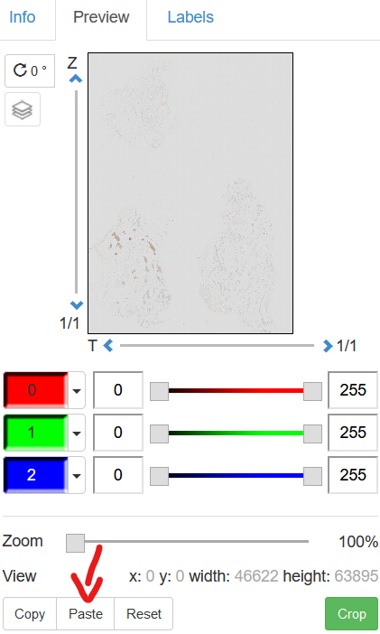 figure_preview_paste_view_settings.png