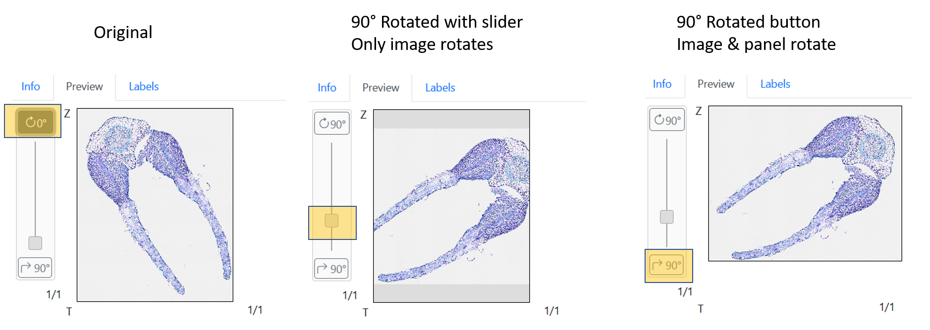 figure_preview_rotate.png