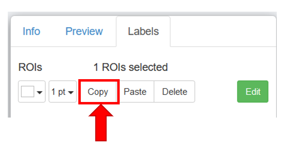 figure_rois_copy.png