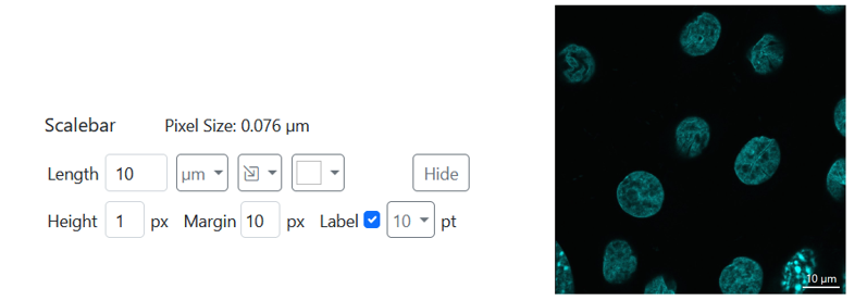 figure_scalebar.png