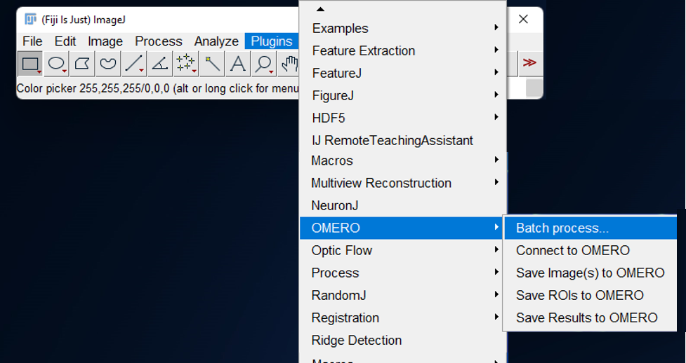 fiji_batch_plugin_command.png