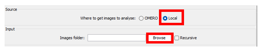 fiji_batch_source_input_panel_local_not_recursive.png