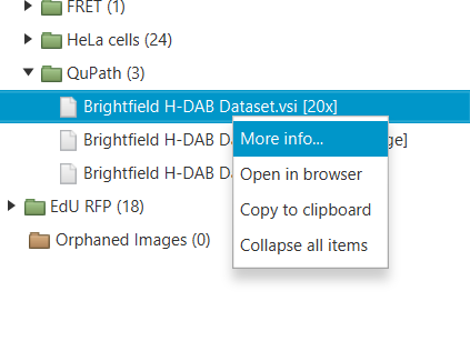 qupath_browser_right_click_moreinfo.png