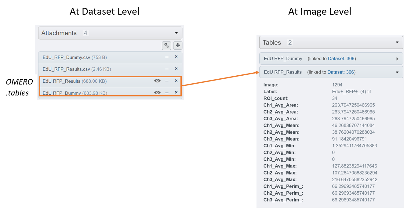 table_dataset_image_levels.png