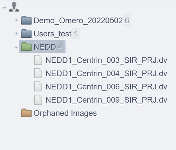 table_nedd_dataset.png