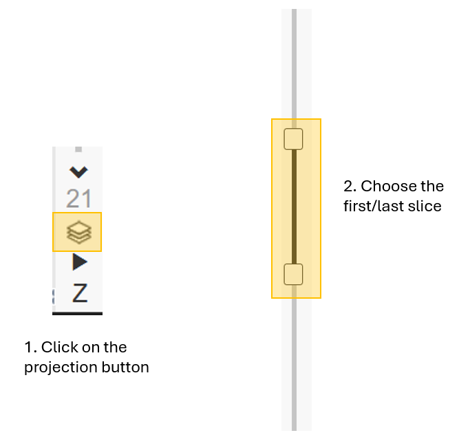 intensity-projection-iviewer.png