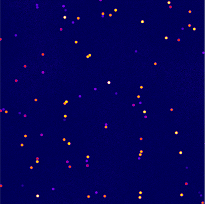 fluo-image.png