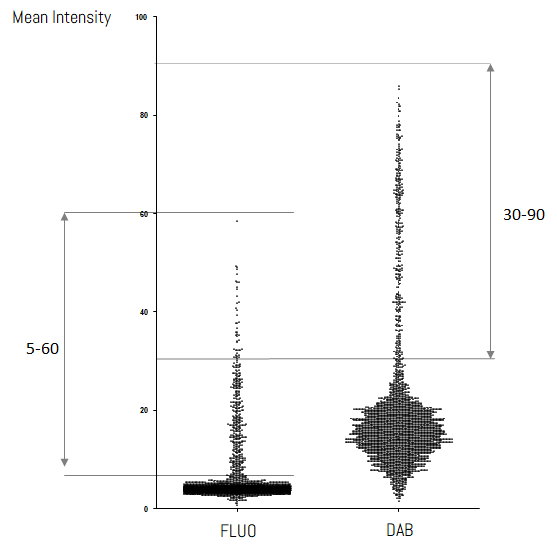 violin-plot-fluo-dab.png